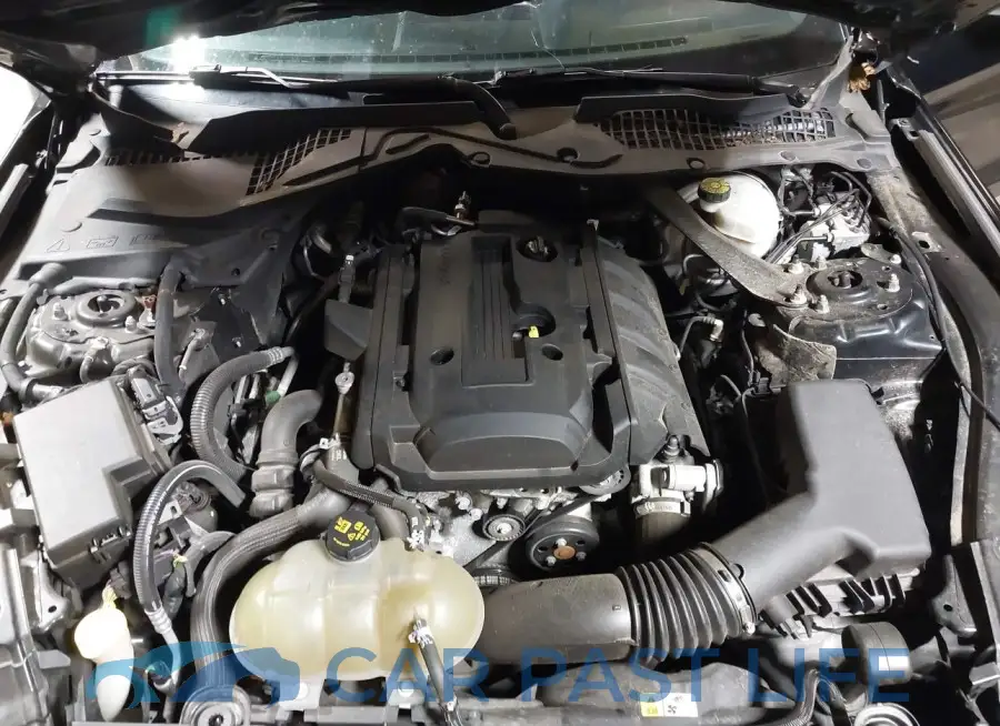 1FATP8UH2J5138818# 10