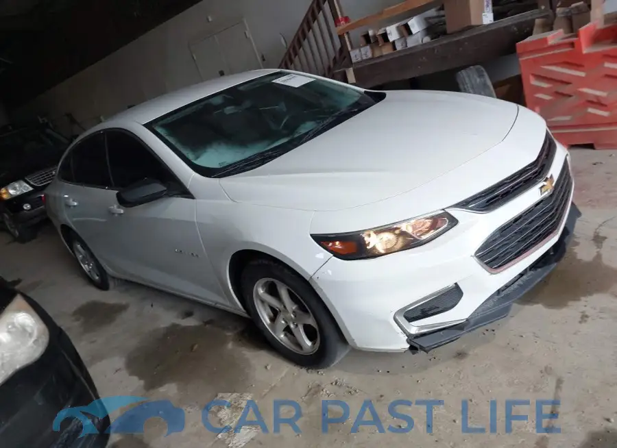 1G1ZB5ST5HF116639# 1