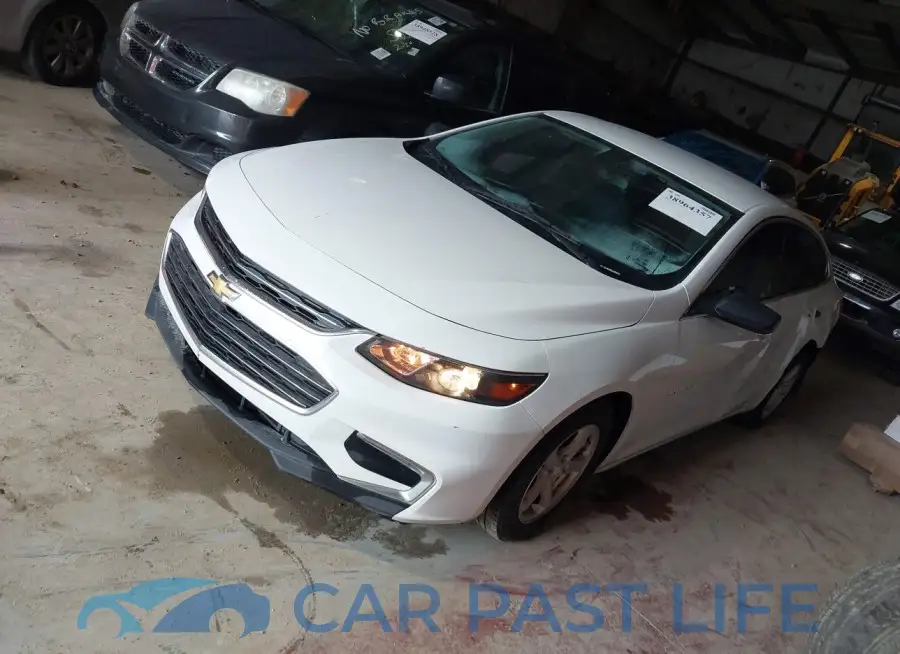 1G1ZB5ST5HF116639# 2