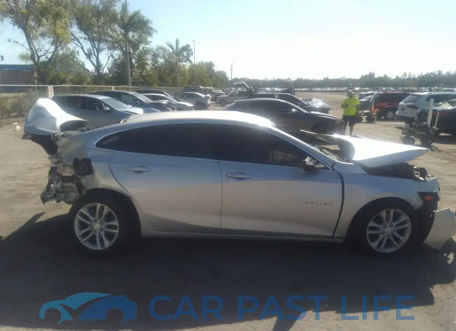 1G1ZD5ST6JF239771# 13