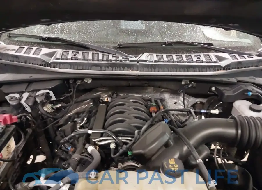 1FTEW1E56LFA60333# 10