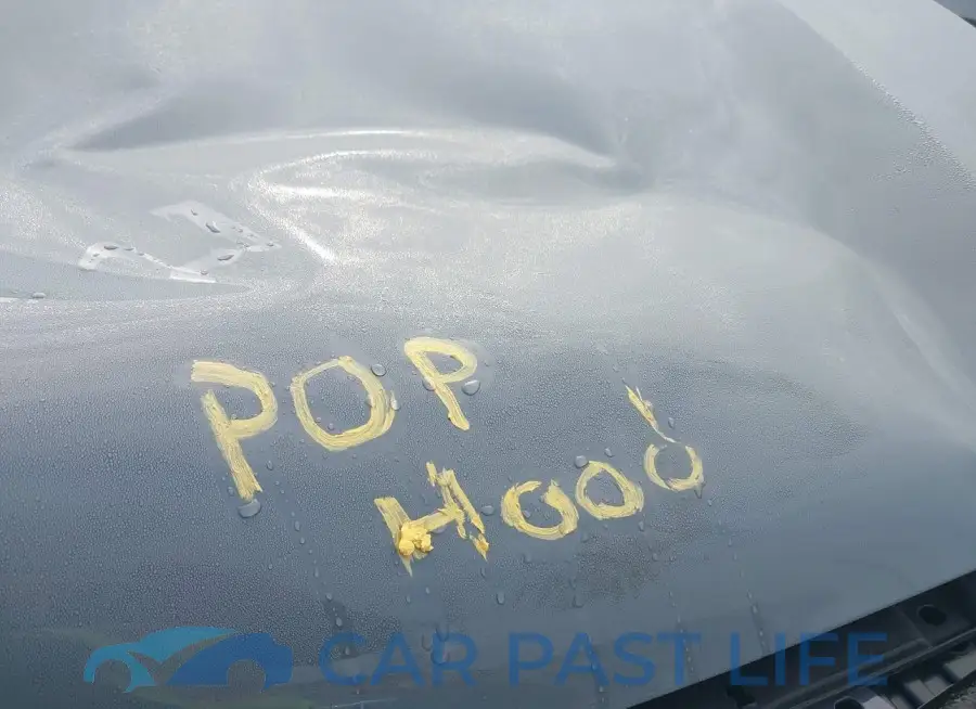 3CZRZ1H56RM731149# 10