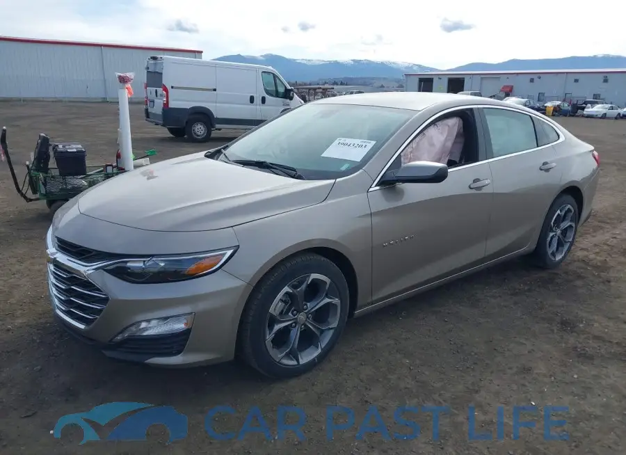 1G1ZD5ST9RF155262# 2