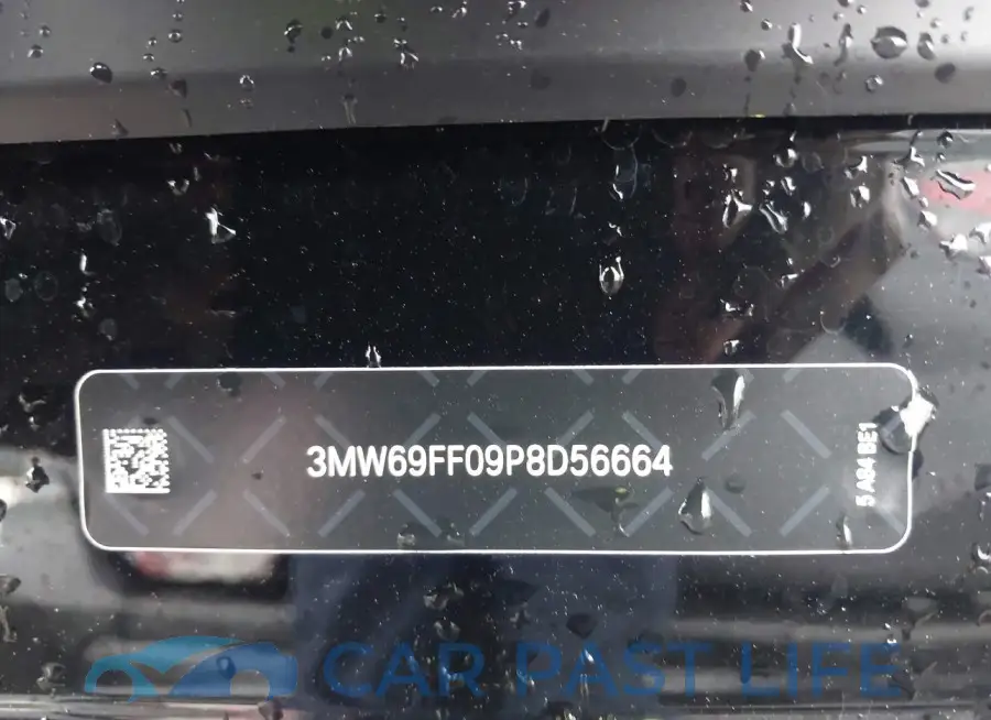 3MW69FF09P8D56664# 9