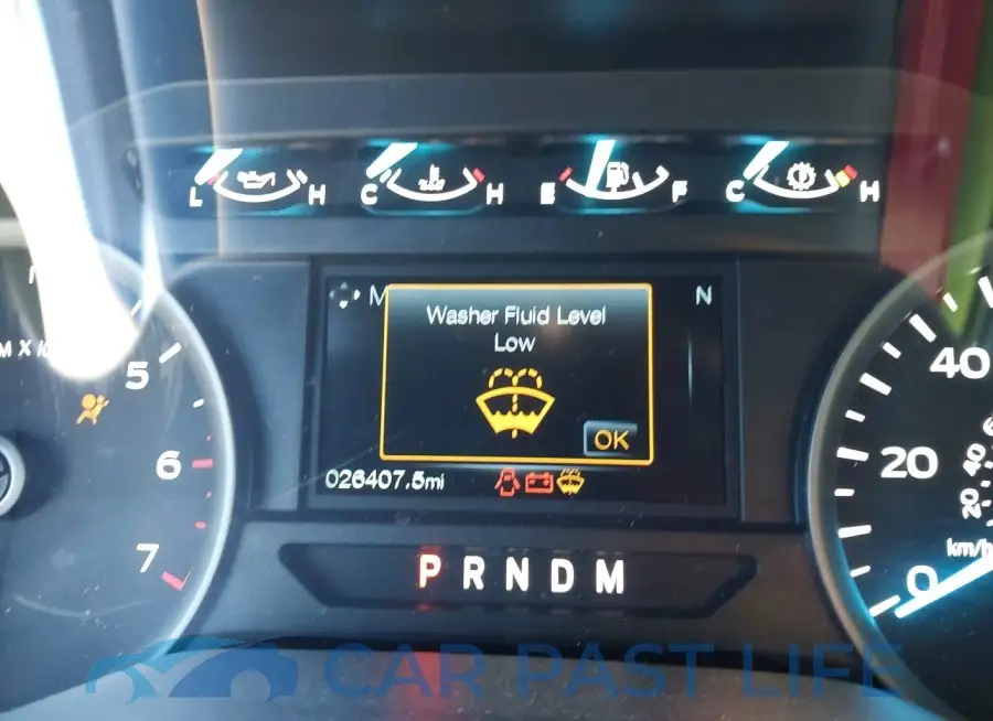 1FTEW1EP3LFB12065# 7