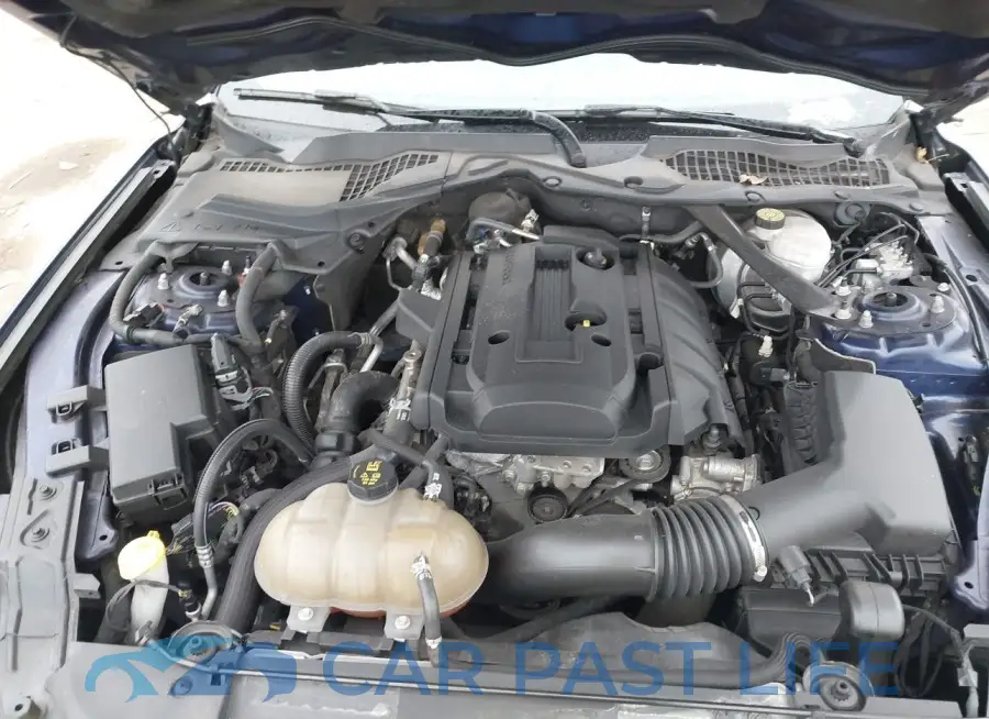 1FATP8UH8K5162252# 10