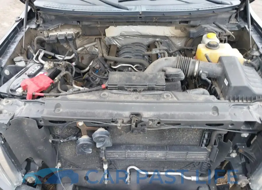1FTFW1EF8EFA33621# 10