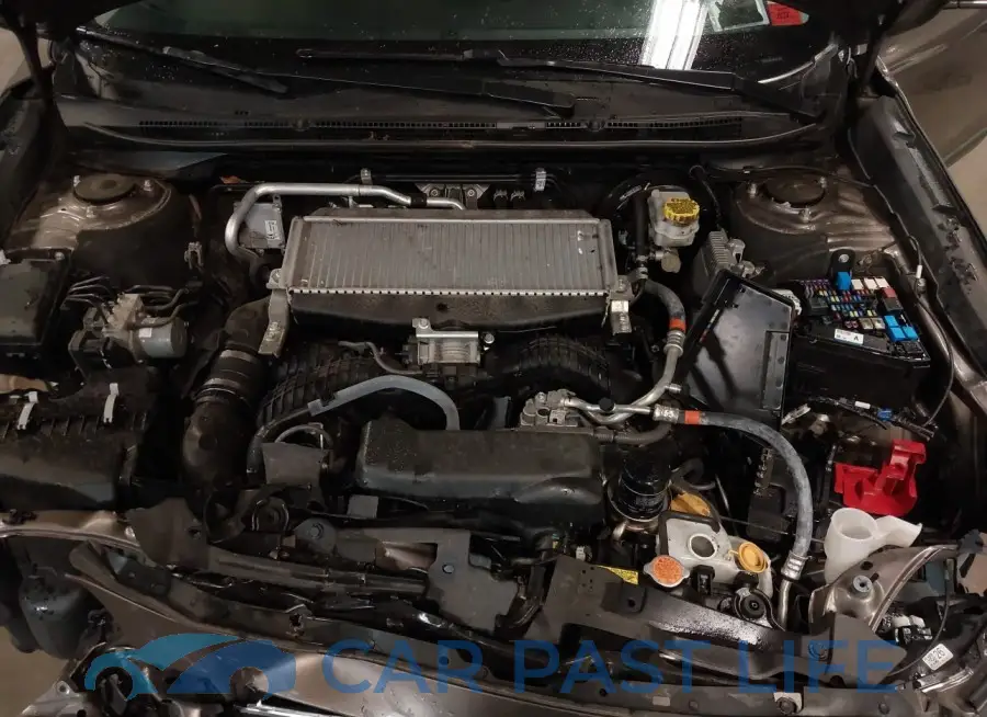 4S4BTGND2M3201404# 10