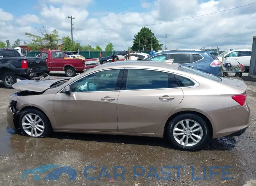 1G1ZD5ST0JF126978# 14