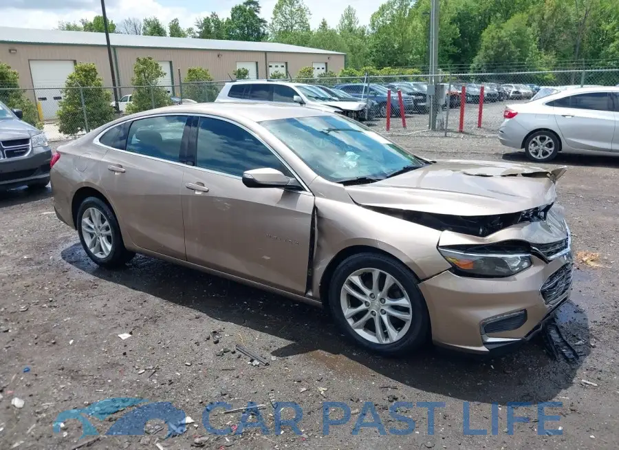1G1ZD5ST0JF126978# 1