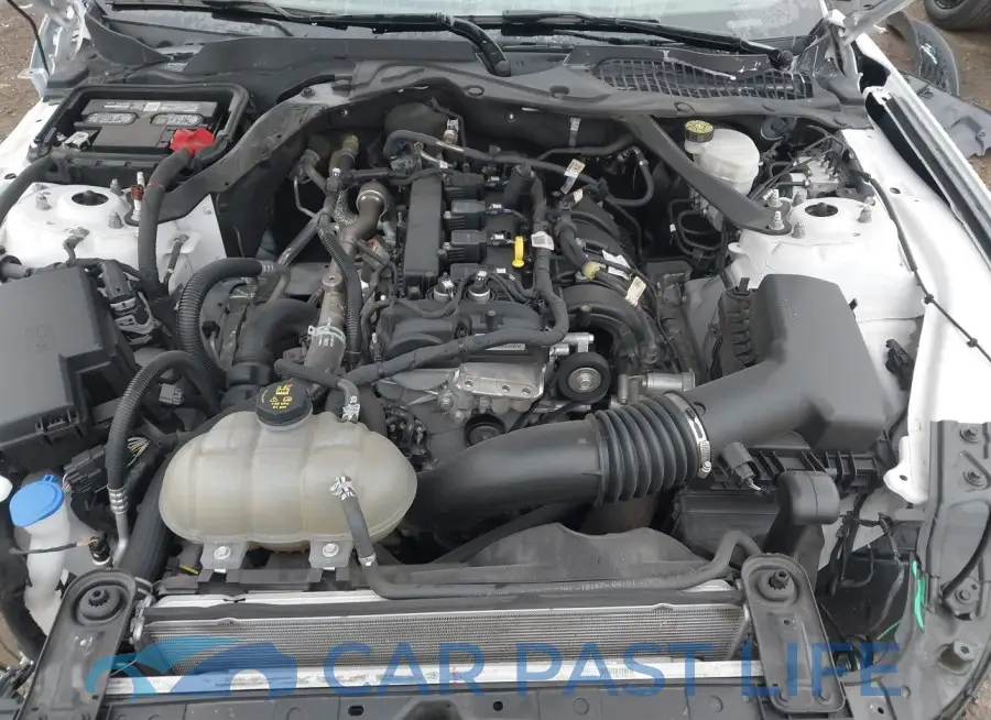 1FATP8UH4M5125069# 10