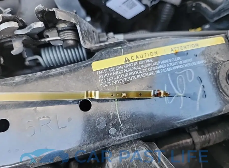 3N1CP5CV9PL513048# 13
