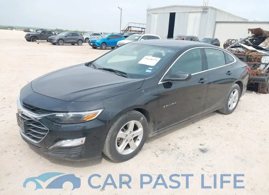 1G1ZD5ST8PF178528# 2