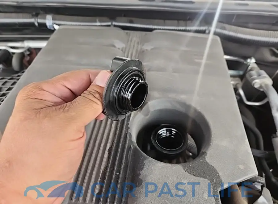 1N6ED1EK0PN616754# 12