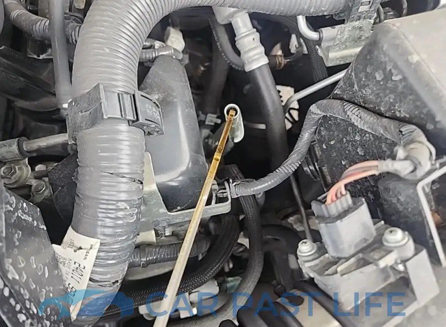 1N6ED1EK6PN602776# 13