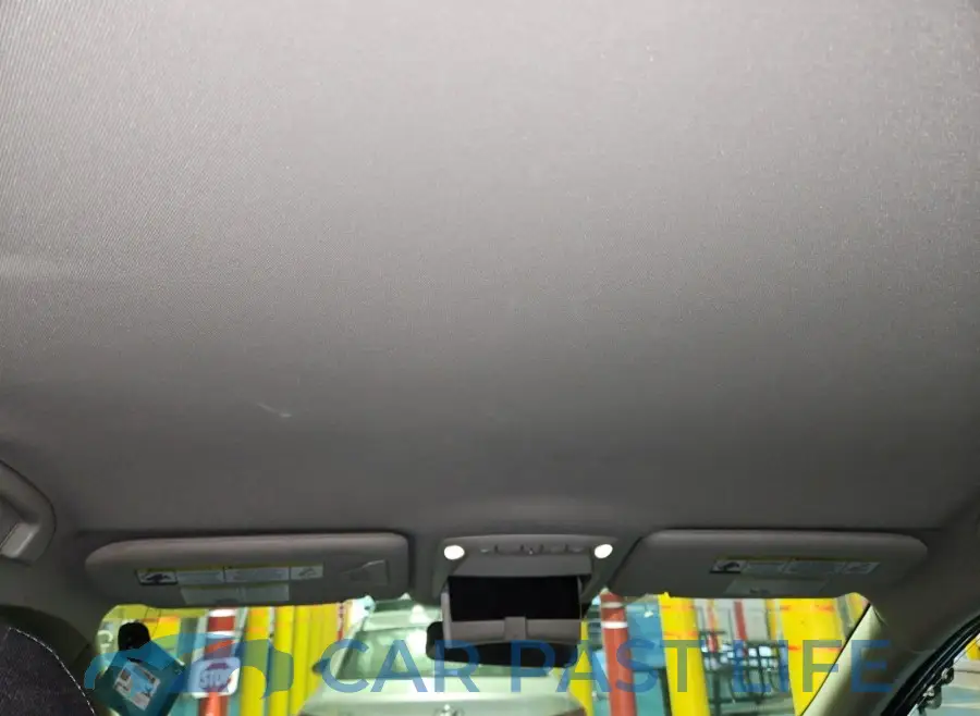 KNMAT2MV4LP528570# 22