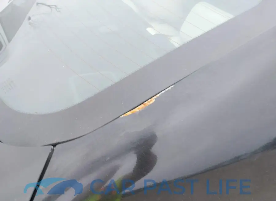 JN1EV7AR2GM340611# 21