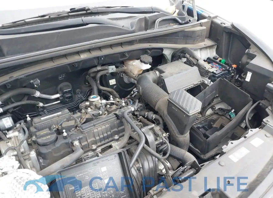 KNDP63AC6L7725346# 6