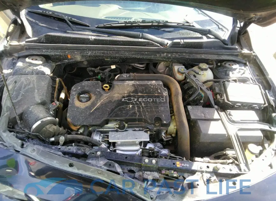 1G1ZB5ST9JF116780# 10