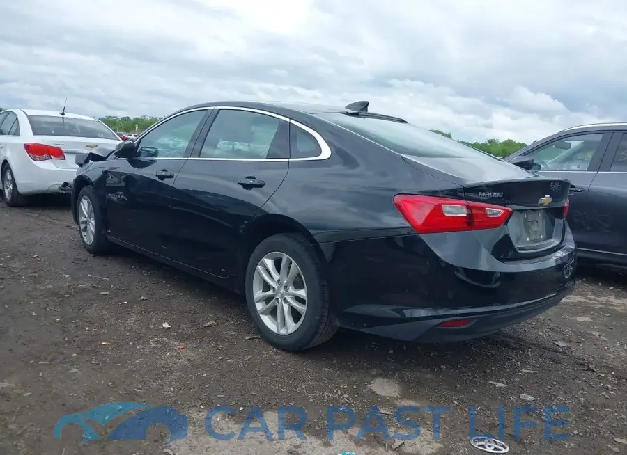 1G1ZD5ST0JF165117# 3