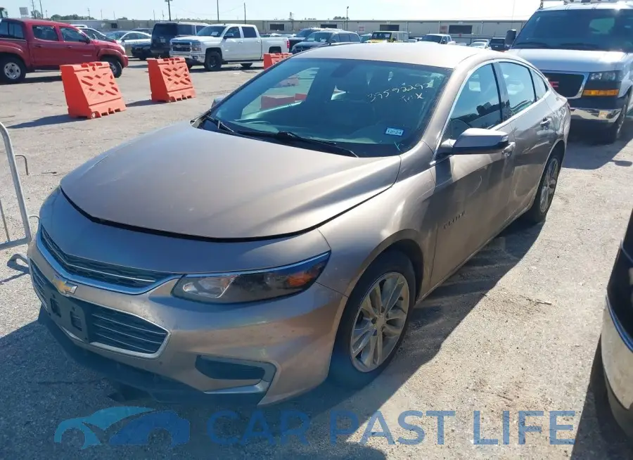 1G1ZD5ST1JF202286# 2