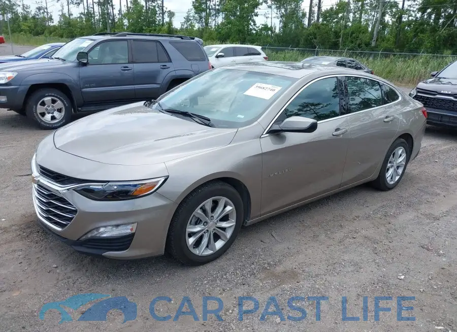 1G1ZD5ST2RF135810# 2