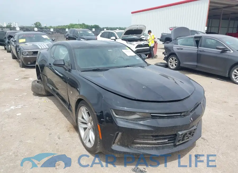 1G1FB1RS7J0181784# 1