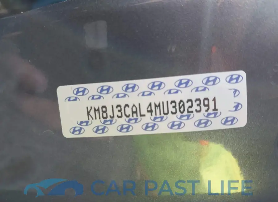 KM8J3CAL4MU302391# 9