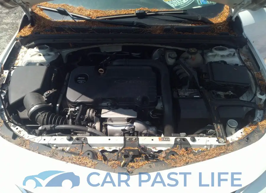 1G1ZB5ST2GF270076# 10