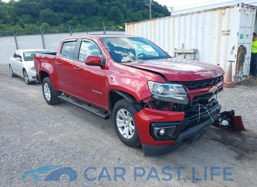 1GCGTCENOM1212098# 1