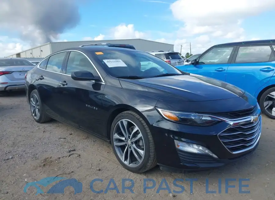1G1ZD5ST4NF113737# 1
