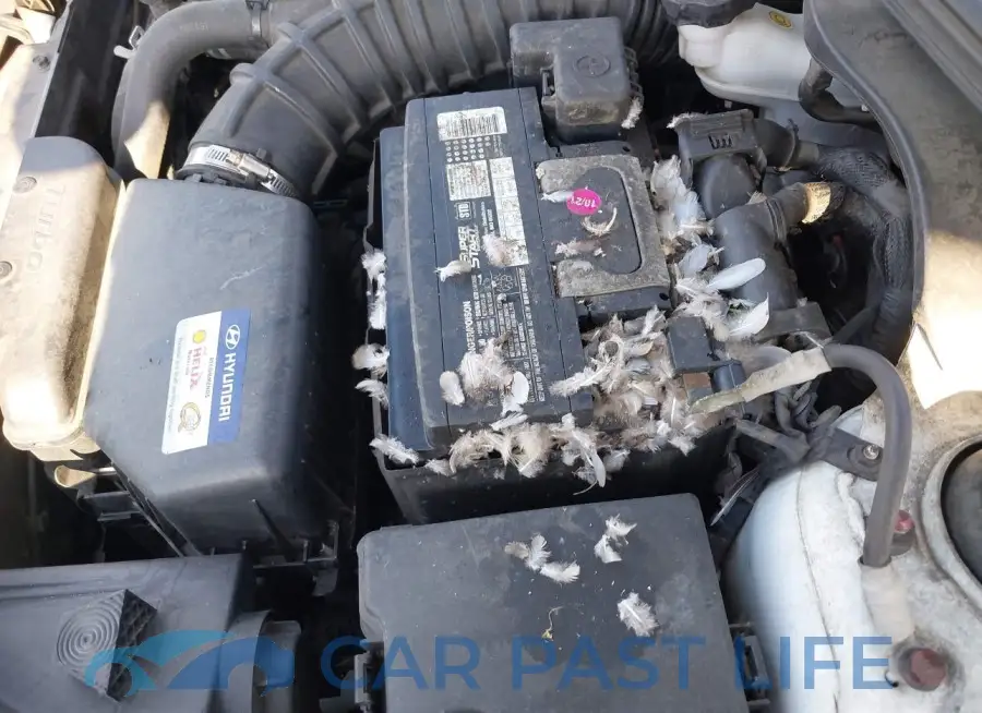 KMHTC6AE2GU289737# 6