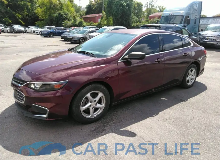 1G1ZB5ST6GF255905# 2