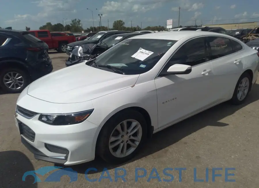 1G1ZD5ST6JF242511# 2