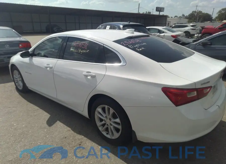 1G1ZD5ST6JF242511# 3