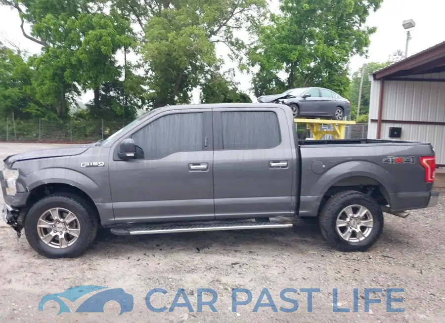 1FTEW1EF4FKE10207# 14