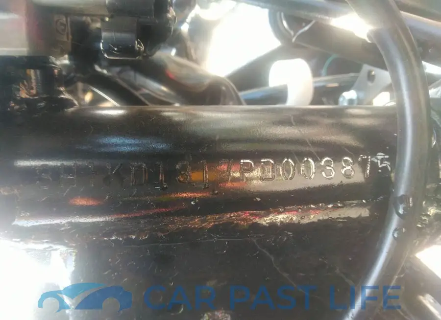 3H1KD1317PD003875# 10