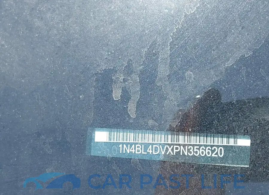 1N4BL4DVXPN356620# 9