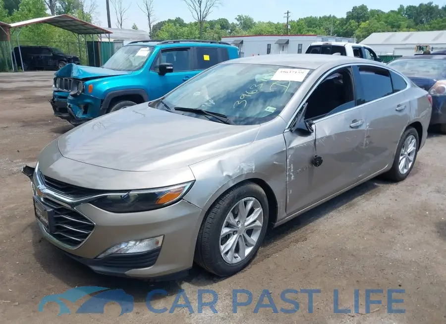1G1ZD5ST8NF115944# 2