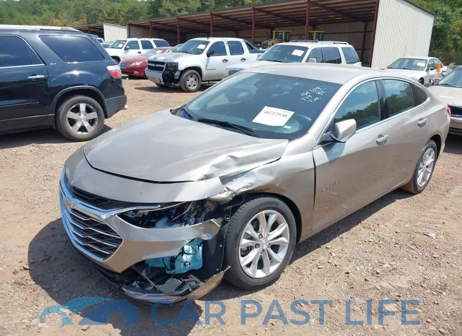 1G1ZD5ST9RF130944# 6