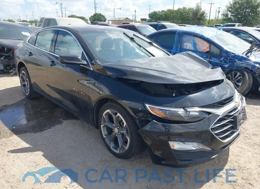 1G1ZD5ST4PF211881# 1