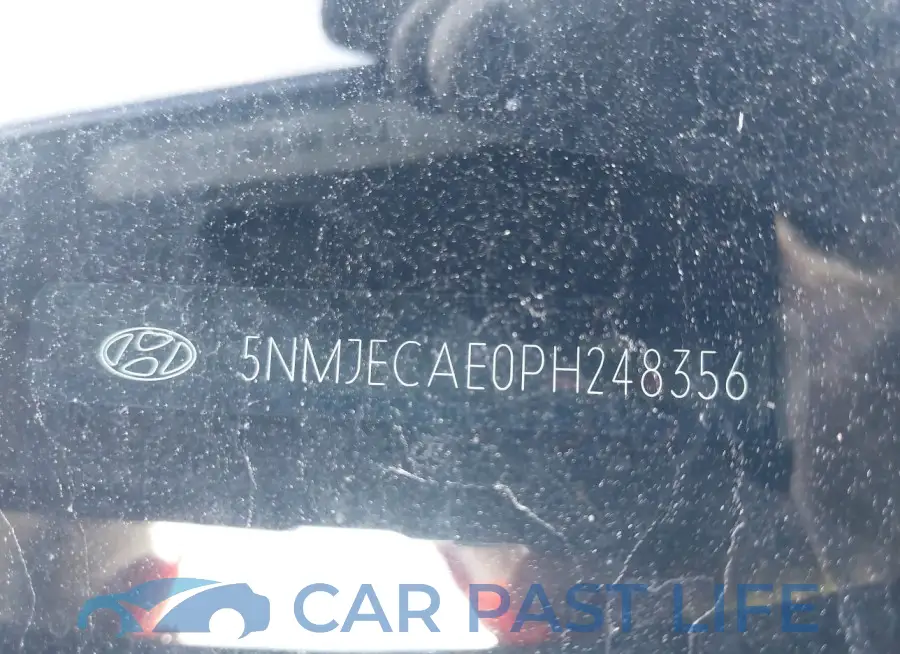 5NMJECAE0PH248356# 9