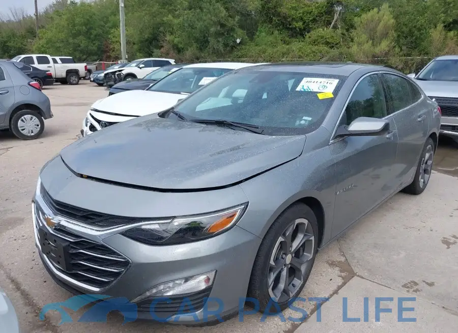 1G1ZD5ST0PF229911# 2