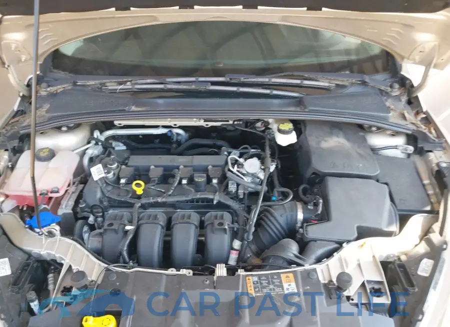 1FADP3K21JL318891# 10