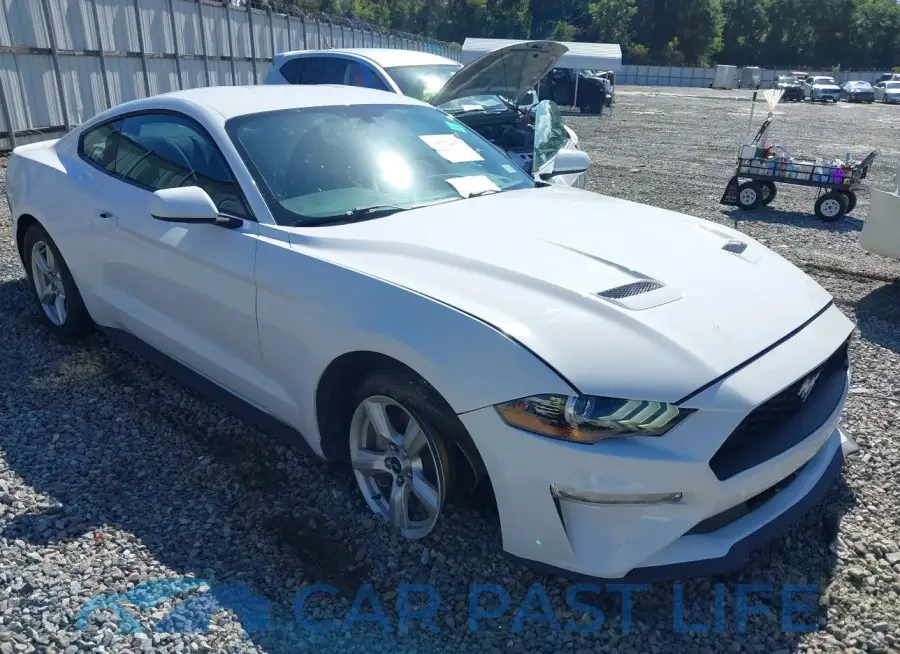 1FA6P8TH1J5106649# 6