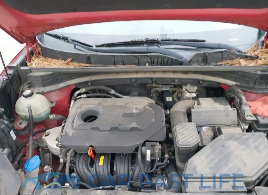 KNDPM3AC7H7290267# 10