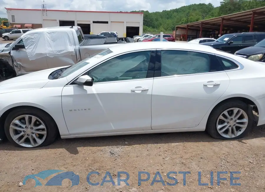 1G1ZD5ST6JF183976# 14