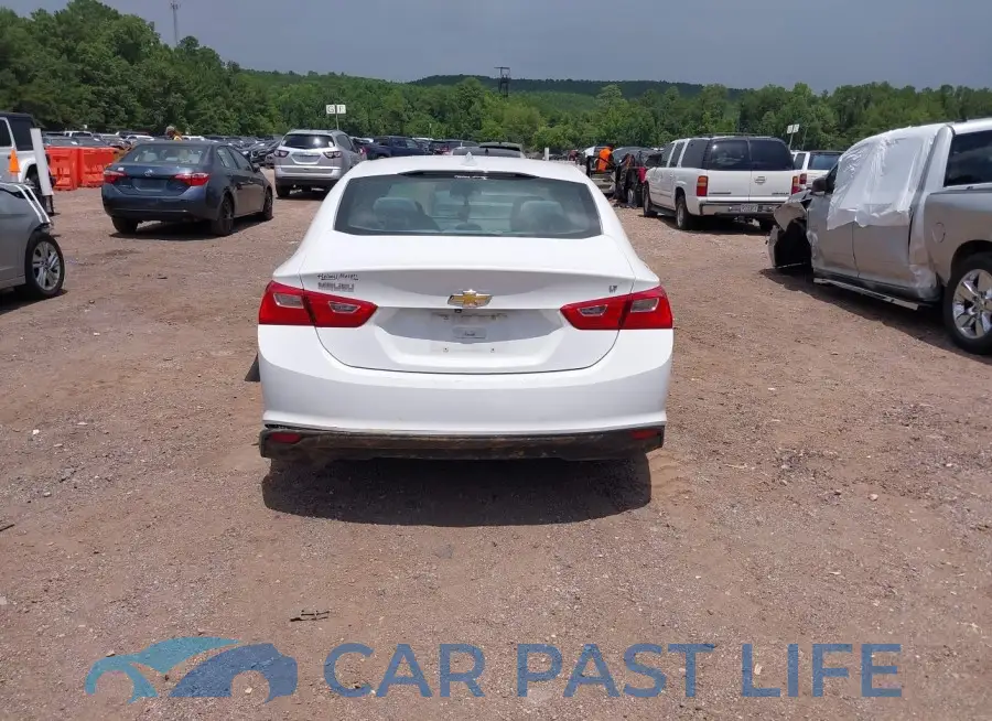 1G1ZD5ST6JF183976# 16