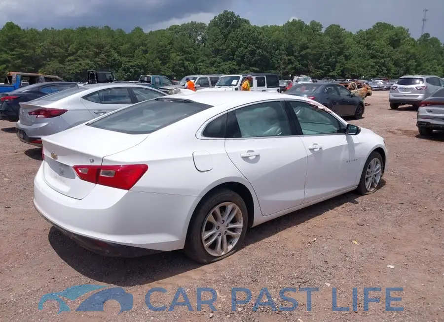 1G1ZD5ST6JF183976# 4