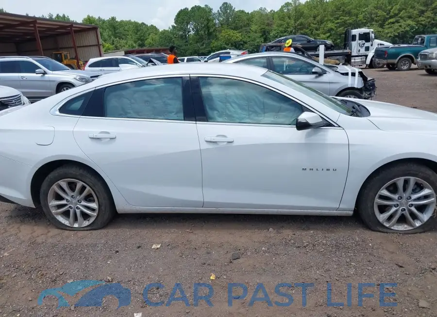 1G1ZD5ST6JF183976# 13